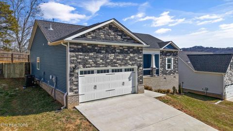 Tiny photo for 208 Daniel Morris Point, Clinton, TN 37716 (MLS # 1329885)