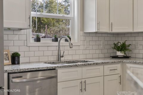 Tiny photo for 208 Daniel Morris Point, Clinton, TN 37716 (MLS # 1329885)