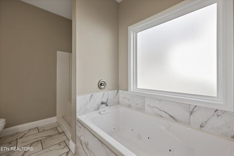 Tiny photo for 208 Daniel Morris Point, Clinton, TN 37716 (MLS # 1329885)