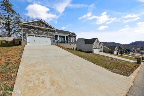 Tiny photo for 208 Daniel Morris Point, Clinton, TN 37716 (MLS # 1329885)