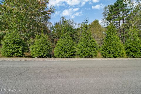 Tiny photo for 33 Indigo Bunting Drive DR, Harriman, TN 37748 (MLS # 1339527)