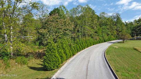 Tiny photo for 33 Indigo Bunting Drive DR, Harriman, TN 37748 (MLS # 1339527)