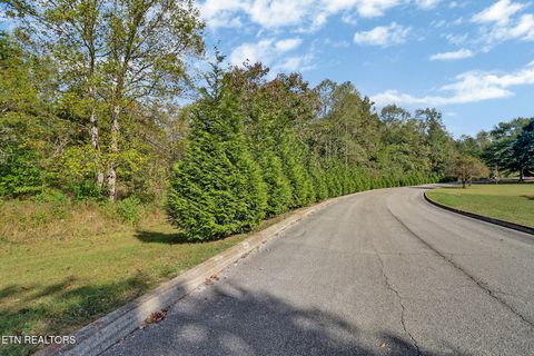 Tiny photo for 33 Indigo Bunting Drive DR, Harriman, TN 37748 (MLS # 1339527)