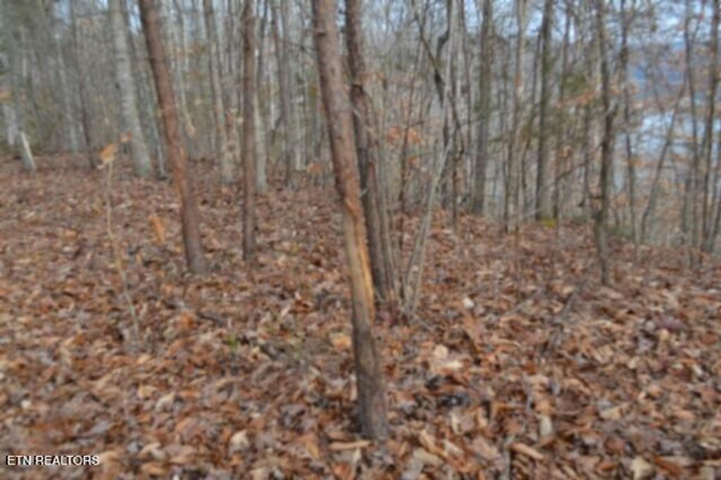 Photo of 649 Garrett Town Lane, Monroe, TN 38573 (MLS # 1326221)