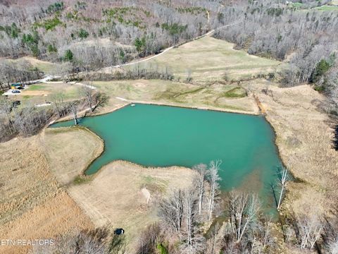 Photo of 293 Herbert Shannon Rd, Sunbright, TN 37872 (MLS # 1334035)