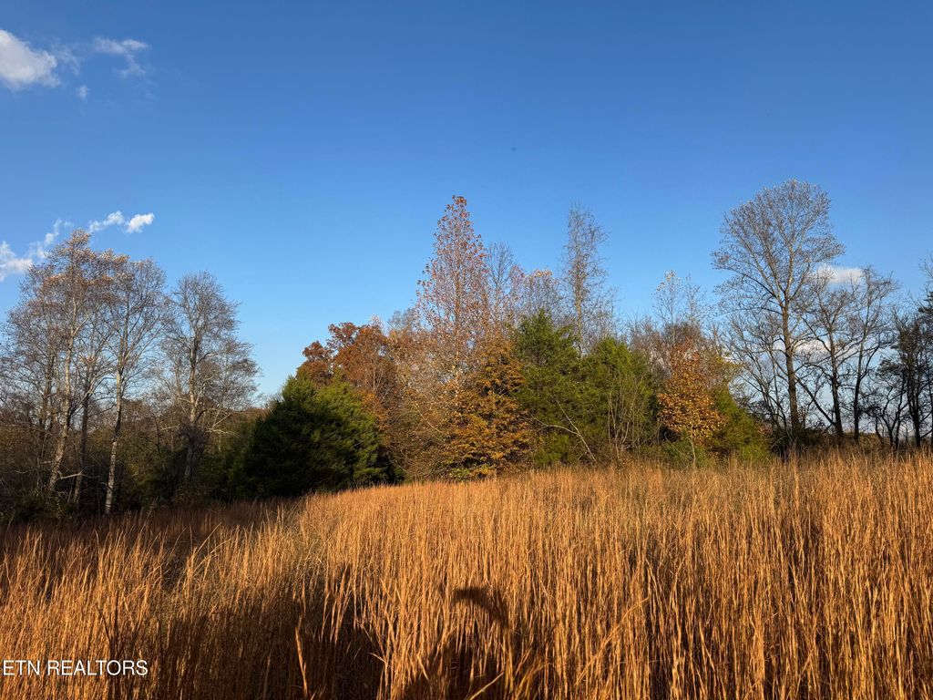 Photo of Brakebill School Rd, Madisonville, TN 37354 (MLS # 1322980)