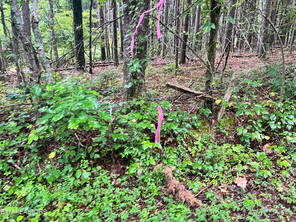 Photo of Lot 4 Prigmore Ridge Rd, Decatur, TN 37322 (MLS # 1310658)