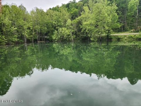Tiny photo for 176 Flat Hollow Marina Rd, Speedwell, TN 37870 (MLS # 1317698)
