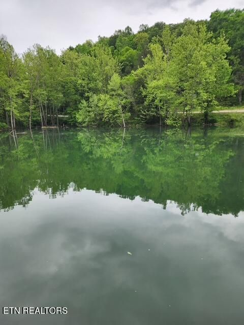 Tiny photo for 176 Flat Hollow Marina Rd, Speedwell, TN 37870 (MLS # 1317698)