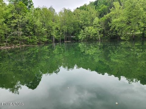 Tiny photo for 176 Flat Hollow Marina Rd, Speedwell, TN 37870 (MLS # 1317698)