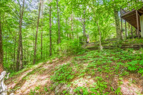 Tiny photo for 4039 Barb Hollow Rd, Walland, TN 37886 (MLS # 1340097)