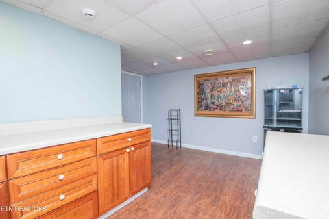 Tiny photo for 4039 Barb Hollow Rd, Walland, TN 37886 (MLS # 1340097)