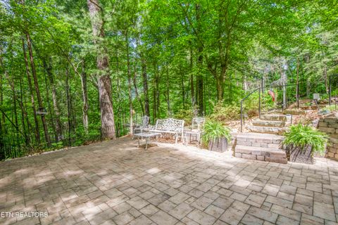 Tiny photo for 4039 Barb Hollow Rd, Walland, TN 37886 (MLS # 1340097)