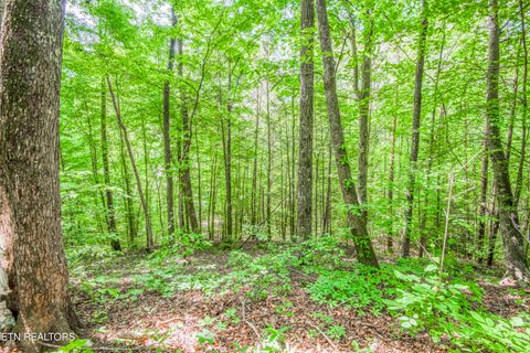 Tiny photo for 4039 Barb Hollow Rd, Walland, TN 37886 (MLS # 1340097)