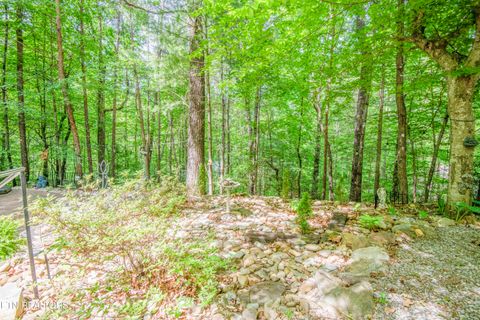 Tiny photo for 4039 Barb Hollow Rd, Walland, TN 37886 (MLS # 1340097)