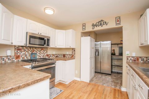 Tiny photo for 4039 Barb Hollow Rd, Walland, TN 37886 (MLS # 1340097)