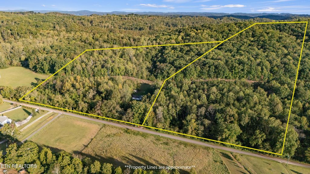 Photo of 253261 Waldo Rd, Rockwood, TN 37854 (MLS # 1316861)