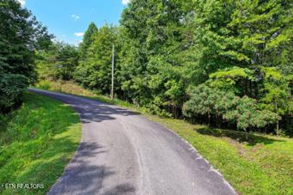Photo of 228 Black Hawk Drive, Ten Mile, TN 37880 (MLS # 1307586)