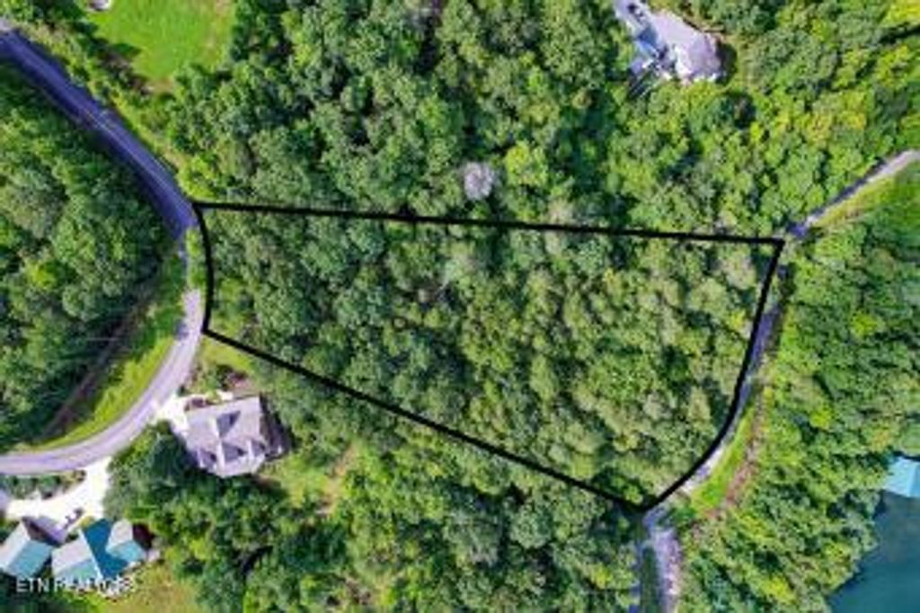 Photo of 228 Black Hawk Drive, Ten Mile, TN 37880 (MLS # 1307586)