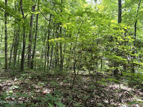 Photo of Swann Saddle #10, Sevierville, TN 37876 (MLS # 1342740)