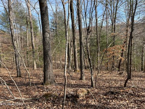 Tiny photo for 12043 E O Mill Creek Rd, Sunbright, TN 37872 (MLS # 1332205)
