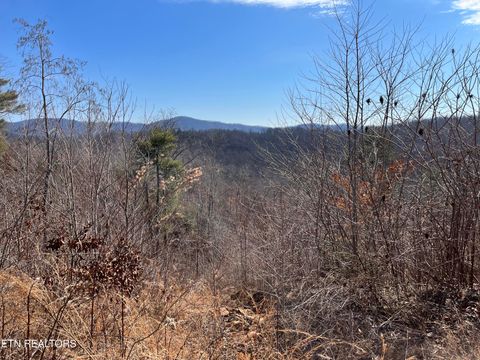 Tiny photo for 12043 E O Mill Creek Rd, Sunbright, TN 37872 (MLS # 1332205)