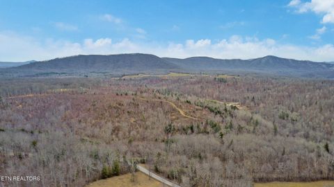 Tiny photo for 12043 E O Mill Creek Rd, Sunbright, TN 37872 (MLS # 1332205)
