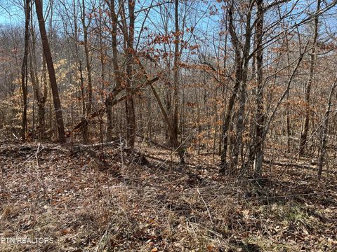 Tiny photo for 12043 E O Mill Creek Rd, Sunbright, TN 37872 (MLS # 1332205)