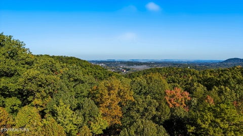Tiny photo for 817 Boone Acres Lane, Pigeon Forge, TN 37863 (MLS # 1359875)