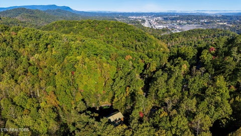 Tiny photo for 817 Boone Acres Lane, Pigeon Forge, TN 37863 (MLS # 1359875)