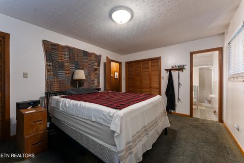 Tiny photo for 4009 Sevierville Pike, Knoxville, TN 37920 (MLS # 1320258)