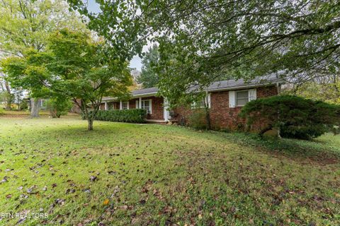 Tiny photo for 4009 Sevierville Pike, Knoxville, TN 37920 (MLS # 1320258)