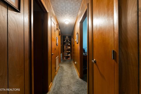 Tiny photo for 4009 Sevierville Pike, Knoxville, TN 37920 (MLS # 1320258)