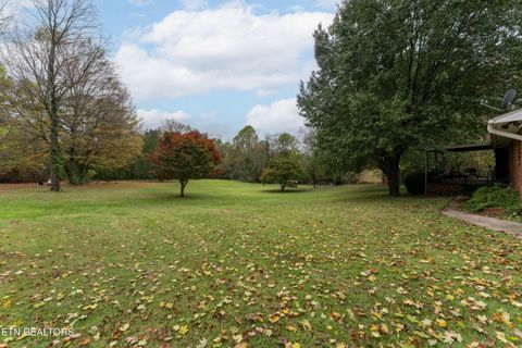 Tiny photo for 4009 Sevierville Pike, Knoxville, TN 37920 (MLS # 1320258)