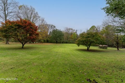 Tiny photo for 4009 Sevierville Pike, Knoxville, TN 37920 (MLS # 1320258)