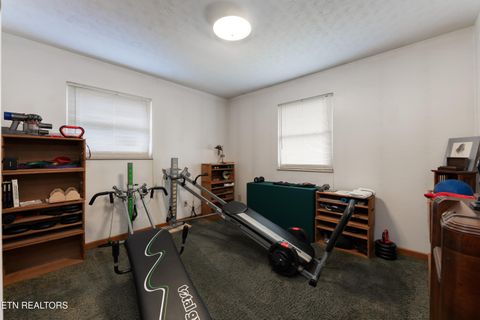 Tiny photo for 4009 Sevierville Pike, Knoxville, TN 37920 (MLS # 1320258)