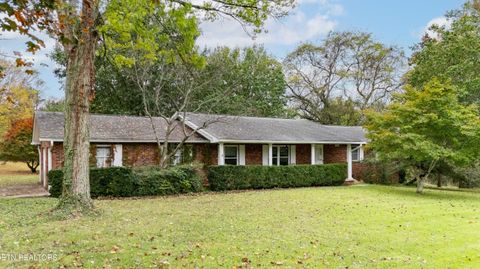 Tiny photo for 4009 Sevierville Pike, Knoxville, TN 37920 (MLS # 1320258)
