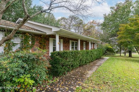 Tiny photo for 4009 Sevierville Pike, Knoxville, TN 37920 (MLS # 1320258)