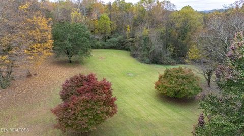 Tiny photo for 4009 Sevierville Pike, Knoxville, TN 37920 (MLS # 1320258)