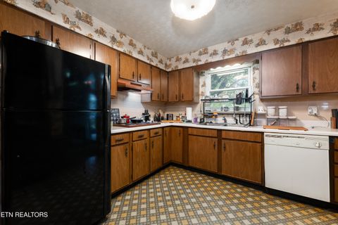 Tiny photo for 4009 Sevierville Pike, Knoxville, TN 37920 (MLS # 1320258)