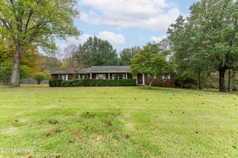 Tiny photo for 4009 Sevierville Pike, Knoxville, TN 37920 (MLS # 1320258)