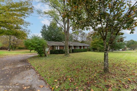 Tiny photo for 4009 Sevierville Pike, Knoxville, TN 37920 (MLS # 1320258)