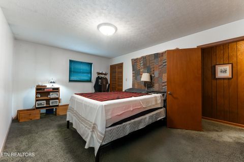 Tiny photo for 4009 Sevierville Pike, Knoxville, TN 37920 (MLS # 1320258)