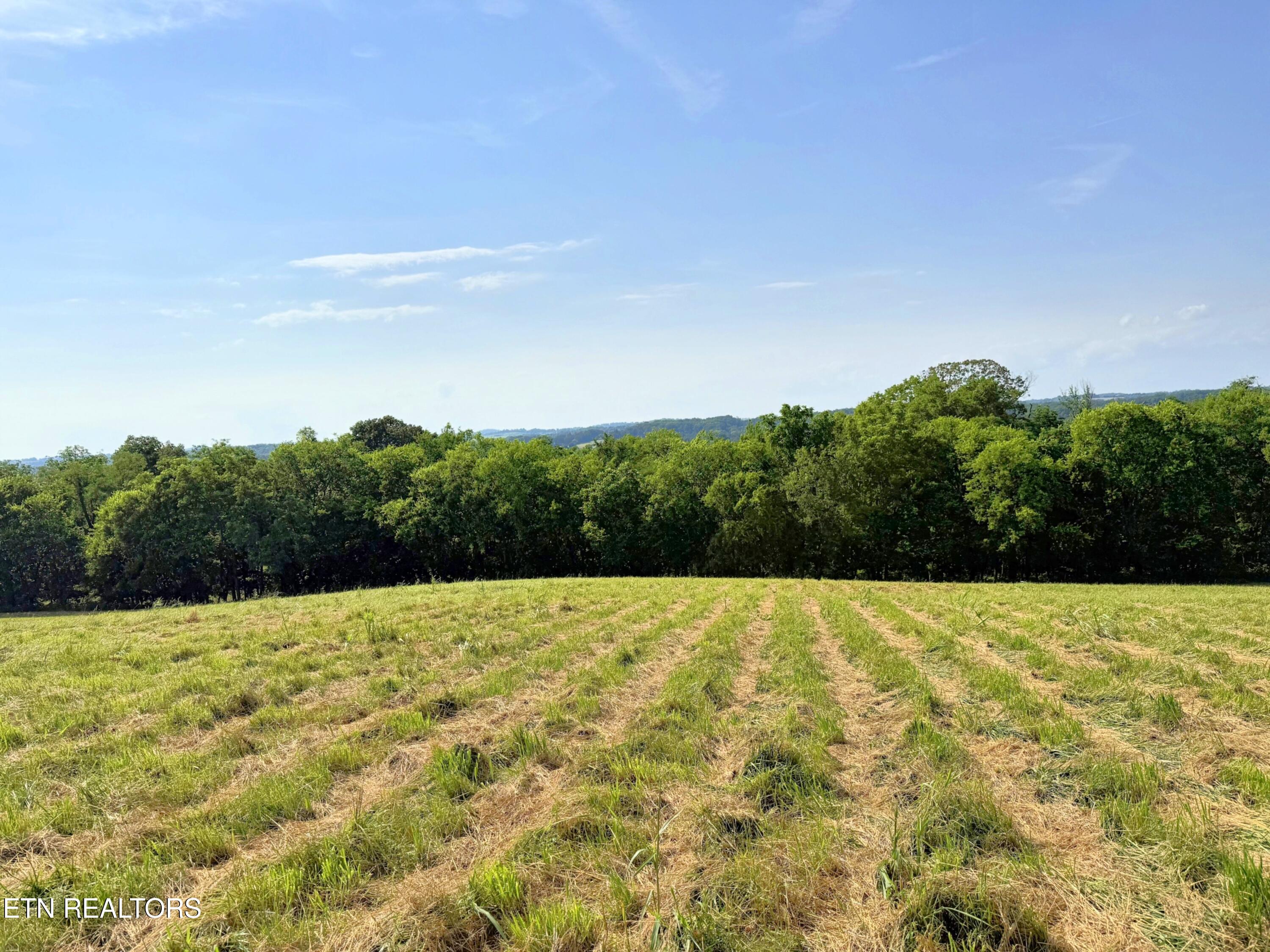 lot3 Stone Lane