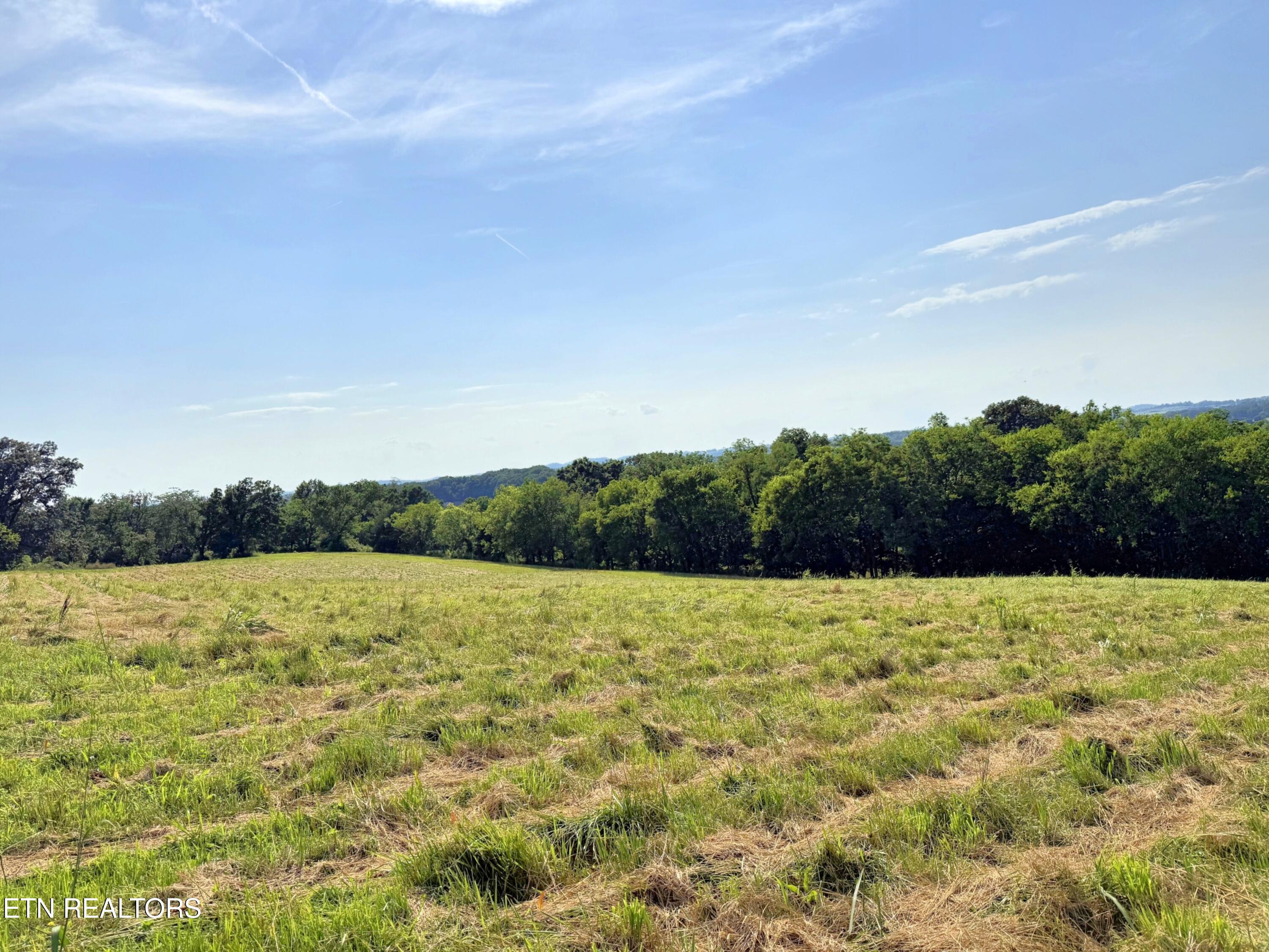 lot3 Stone Lane