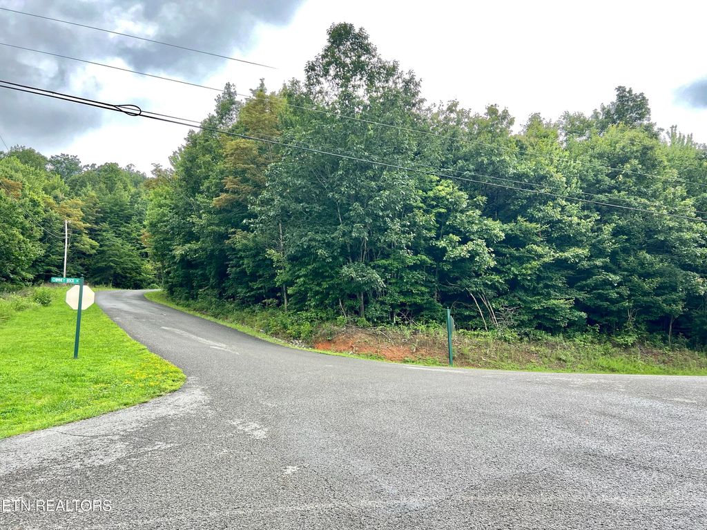 Photo of Lot 400 Chimney Rock Rd, New Tazewell, TN 37825 (MLS # 1271034)