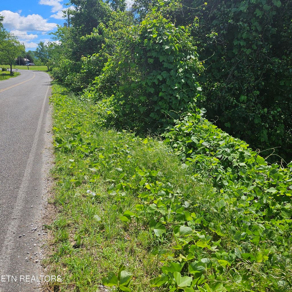 Photo of Petit Lane, Wartburg, TN 37887 (MLS # 1301958)