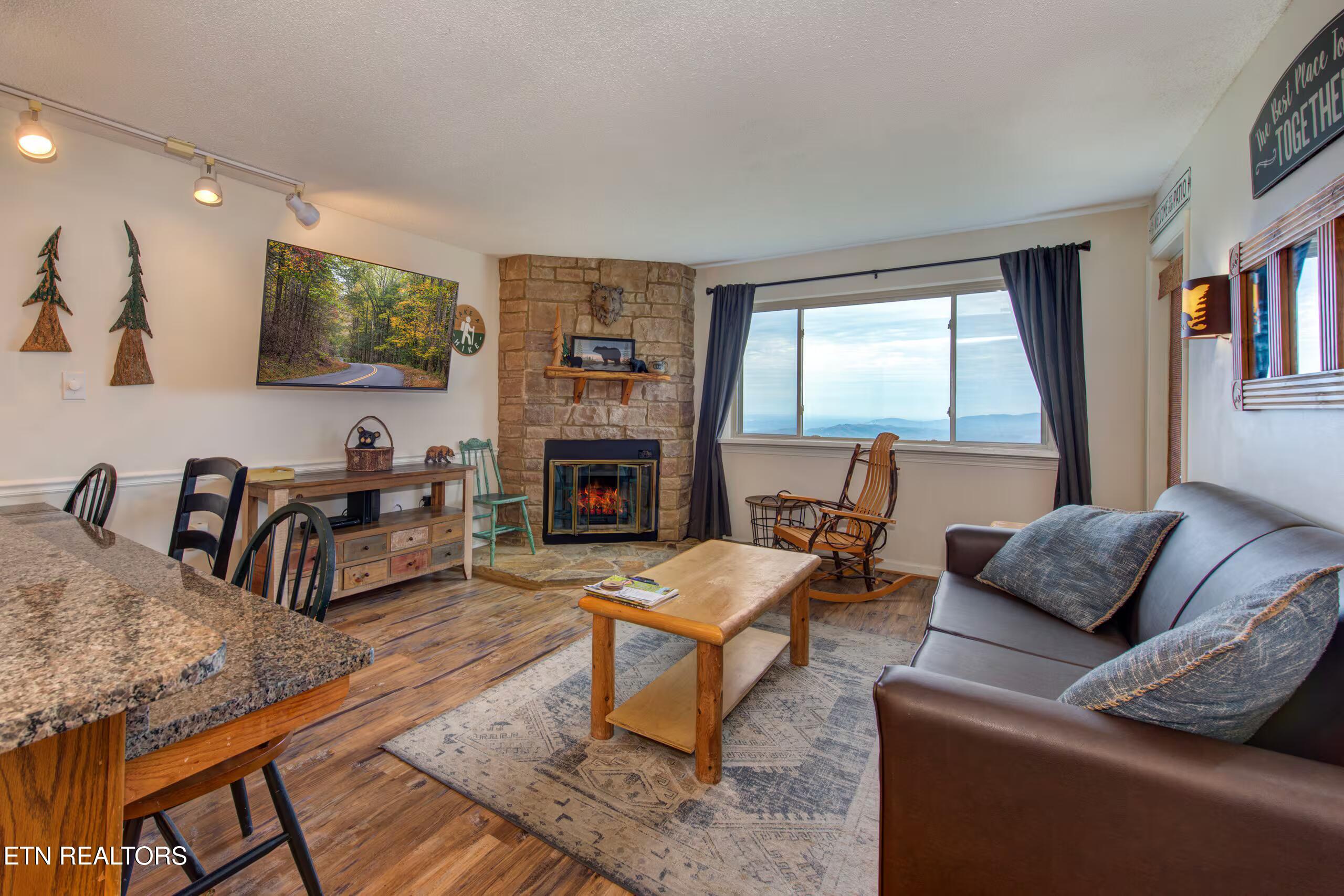 1380 Ski View Drive APT 5202