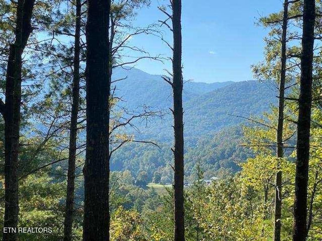 Photo of 849 Hawk View Rd Rd, Townsend, TN 37882 (MLS # 1317624)