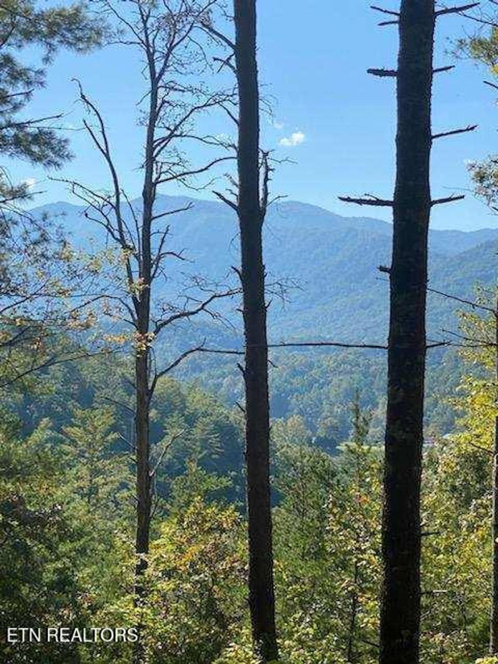 Photo of 849 Hawk View Rd Rd, Townsend, TN 37882 (MLS # 1317624)